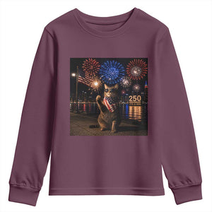 USA 250th Anniversary Cat Youth Sweatshirt Funny 4th Of July Independence Day 250 Years 1776 2026 Patriotic Celebration Meme