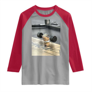 Hamster Gym Raglan Shirt Funny Rat Workout Weightlifting Pump Cover TS10 Sport Gray Red Print Your Wear