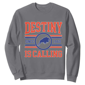 BFB Football Sweatshirt Funny Vintage 90s TS10 Charcoal Print Your Wear
