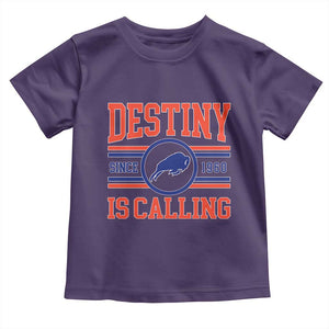 BFB Football Toddler T Shirt Funny Vintage 90s TS10 Purple Print Your Wear