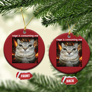 Rage Is Consuming Me Cat Christmas Ornament Funny Weird Humor Silly Cat Meme TS10 Circle Red Print Your Wear
