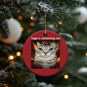 Rage Is Consuming Me Cat Christmas Ornament Funny Weird Humor Silly Cat Meme TS10 Print Your Wear