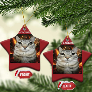 Rage Is Consuming Me Cat Christmas Ornament Funny Weird Humor Silly Cat Meme TS10 Star Red Print Your Wear