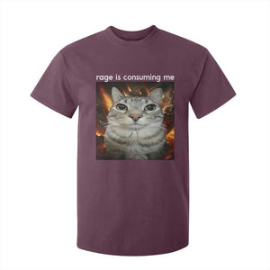 Rage Is Consuming Me Cat T Shirt For Kid Funny Weird Humor Silly Cat Meme TS10 Maroon Print Your Wear