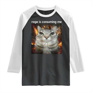 Rage Is Consuming Me Cat Raglan Shirt Funny Weird Humor Silly Cat Meme TS10 Black White Print Your Wear