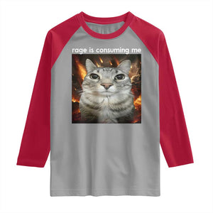 Rage Is Consuming Me Cat Raglan Shirt Funny Weird Humor Silly Cat Meme TS10 Sport Gray Red Print Your Wear