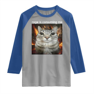 Rage Is Consuming Me Cat Raglan Shirt Funny Weird Humor Silly Cat Meme TS10 Sport Gray Royal Print Your Wear
