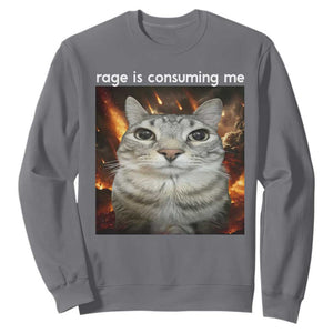 Rage Is Consuming Me Cat Sweatshirt Funny Weird Humor Silly Cat Meme TS10 Charcoal Print Your Wear