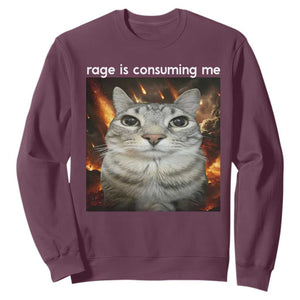 Rage Is Consuming Me Cat Sweatshirt Funny Weird Humor Silly Cat Meme TS10 Maroon Print Your Wear