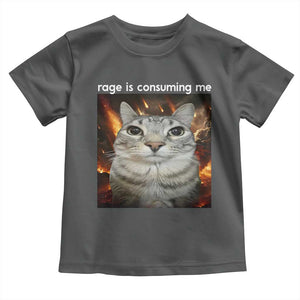 Rage Is Consuming Me Cat Toddler T Shirt Funny Weird Humor Silly Cat Meme TS10 Dark Heather Print Your Wear