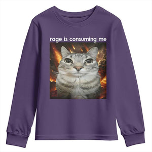 Rage Is Consuming Me Cat Youth Sweatshirt Funny Weird Humor Silly Cat Meme TS10 Purple Print Your Wear
