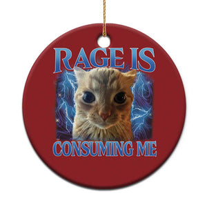 Rage Is Consuming Me Cat Meme Christmas Ornament Funny Weird Humor Cat Face Bootleg TS10 Print Your Wear