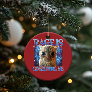 Rage Is Consuming Me Cat Meme Christmas Ornament Funny Weird Humor Cat Face Bootleg TS10 Print Your Wear