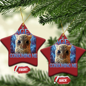 Rage Is Consuming Me Cat Meme Christmas Ornament Funny Weird Humor Cat Face Bootleg TS10 Star Red Print Your Wear