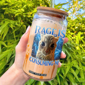 Rage Is Consuming Me Cat Meme Glass Can Funny Weird Humor Cat Face Bootleg TS10 Black Print Your Wear