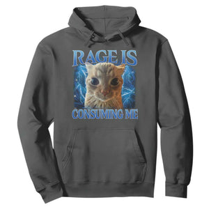 Rage Is Consuming Me Cat Meme Hoodie Funny Weird Humor Cat Face Bootleg TS10 Dark Heather Print Your Wear