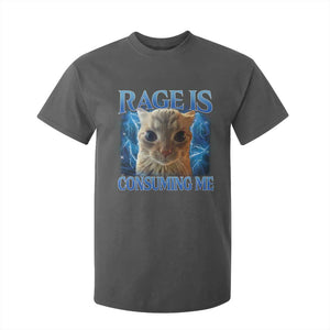 Rage Is Consuming Me Cat Meme T Shirt For Kid Funny Weird Humor Cat Face Bootleg TS10 Dark Heather Print Your Wear