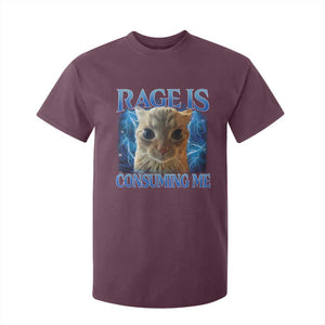 Rage Is Consuming Me Cat Meme T Shirt For Kid Funny Weird Humor Cat Face Bootleg TS10 Maroon Print Your Wear