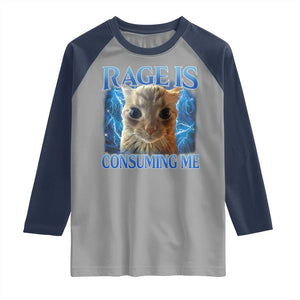 Rage Is Consuming Me Cat Meme Raglan Shirt Funny Weird Humor Cat Face Bootleg TS10 Sport Gray Navy Print Your Wear