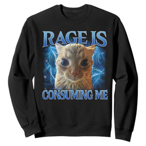Rage Is Consuming Me Cat Meme Sweatshirt Funny Weird Humor Cat Face Bootleg TS10 Black Print Your Wear