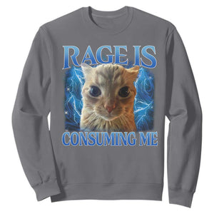 Rage Is Consuming Me Cat Meme Sweatshirt Funny Weird Humor Cat Face Bootleg TS10 Charcoal Print Your Wear