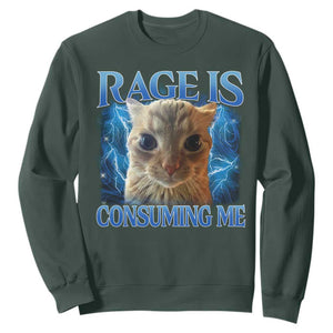 Rage Is Consuming Me Cat Meme Sweatshirt Funny Weird Humor Cat Face Bootleg TS10 Dark Forest Green Print Your Wear