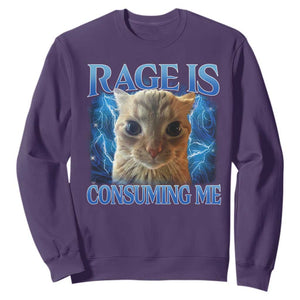 Rage Is Consuming Me Cat Meme Sweatshirt Funny Weird Humor Cat Face Bootleg TS10 Purple Print Your Wear
