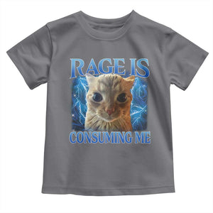 Rage Is Consuming Me Cat Meme Toddler T Shirt Funny Weird Humor Cat Face Bootleg TS10 Charcoal Print Your Wear