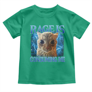 Rage Is Consuming Me Cat Meme Toddler T Shirt Funny Weird Humor Cat Face Bootleg TS10 Irish Green Print Your Wear