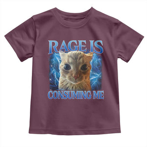 Rage Is Consuming Me Cat Meme Toddler T Shirt Funny Weird Humor Cat Face Bootleg TS10 Maroon Print Your Wear