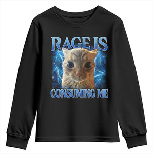 Rage Is Consuming Me Cat Meme Youth Sweatshirt Funny Weird Humor Cat Face Bootleg TS10 Black Print Your Wear