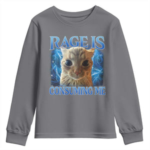 Rage Is Consuming Me Cat Meme Youth Sweatshirt Funny Weird Humor Cat Face Bootleg TS10 Charcoal Print Your Wear