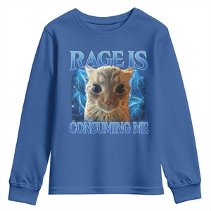Rage Is Consuming Me Cat Meme Youth Sweatshirt Funny Weird Humor Cat Face Bootleg TS10 Royal Blue Print Your Wear