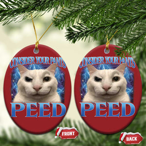 Meme Cat Christmas Ornament Funny Weird Humor Consider Your Pants Peed TS10 Oval Red Print Your Wear