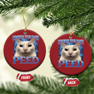 Meme Cat Christmas Ornament Funny Weird Humor Consider Your Pants Peed TS10 Circle Red Print Your Wear