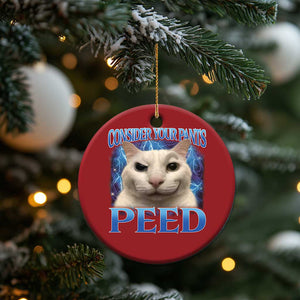 Meme Cat Christmas Ornament Funny Weird Humor Consider Your Pants Peed TS10 Print Your Wear