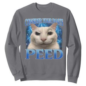 Meme Cat Sweatshirt Funny Weird Humor Consider Your Pants Peed TS10 Charcoal Print Your Wear