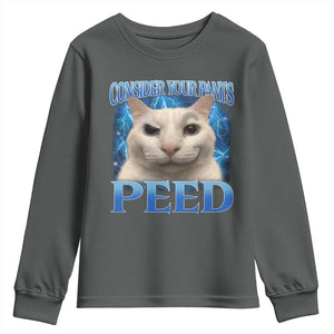 Meme Cat Youth Sweatshirt Funny Weird Humor Consider Your Pants Peed TS10 Dark Heather Print Your Wear