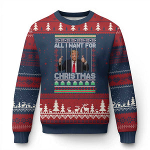 Funny Xmas Trump Prison Ugly Christmas Sweater All I Want For Xmas Is Subtle FDT TS10 Navy Red Print Your Wear