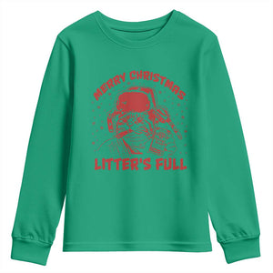 Litters Full Youth Sweatshirt Funny Cat Christmas Vacation TS10 Irish Green Print Your Wear