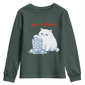 Abolish Ice Protest Youth Sweatshirt Subtle FDT Cat Meme No Ice Please TS10 Dark Forest Green Print Your Wear