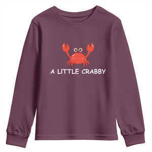 A Little Crabby Youth Sweatshirt Minimalist Beach Meme Summer Aesthetic
