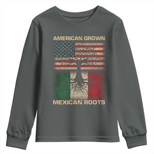 American Grown Mexican Roots Youth Sweatshirt Retro Mexico America Flag TS10 Dark Heather Print Your Wear