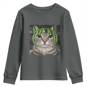 Watermelon Cat Silly Cat Meme Youth Sweatshirt TS10 Dark Heather Print Your Wear