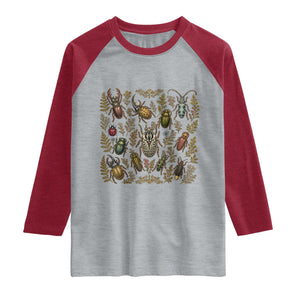 Insect Bug Collection Collector Entomologist Entomology Raglan Shirt