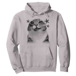 Funny Y2k Cat Meme Hoodie Vintage Retro Silly Cats Cats lover Gift TS10 Ice Gray Print Your Wear