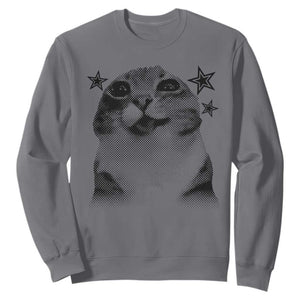 Funny Y2k Cat Meme Sweatshirt Vintage Retro Silly Cats Cats lover Gift TS10 Charcoal Print Your Wear