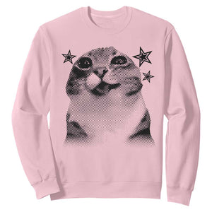 Funny Y2k Cat Meme Sweatshirt Vintage Retro Silly Cats Cats lover Gift TS10 Light Pink Print Your Wear