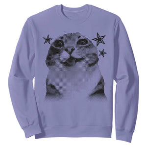 Funny Y2k Cat Meme Sweatshirt Vintage Retro Silly Cats Cats lover Gift TS10 Violet Print Your Wear