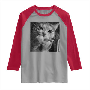 Smoking Cat Y2K Raglan Shirt Vintage Grunge Cat Edgy Retro 90s Streetwear TS10 Sport Gray Red Print Your Wear